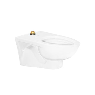 TZF NAO P TAZA PARA FLUXÓMETRO NAO P, SUSPENDIDA, A PARED, ELONGADA TRAMPA SEMIOCULTA, PARA FLUXÓMETROS DE 3.5 LPD / 4.8 LPD / 6 LPD, BLANCO HELVEX