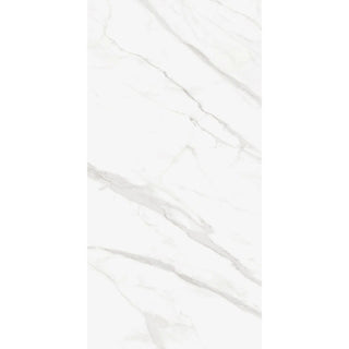 DOVE 242 CARRARA 120*240 (CAJA 2.88 M2) MAXIMUS CASTEL