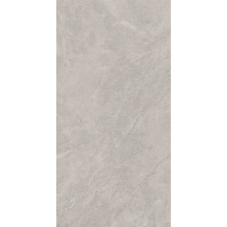 BAYONA SILVER PULIDO 120*240 CM (CAJA 2.88 M2) MAXIMUS CASTEL