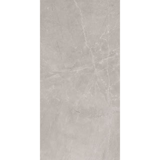 BAYONA SILVER ESMALTADO 120*240 CM (CAJA 2.88 M2) MAXIMUS CASTEL