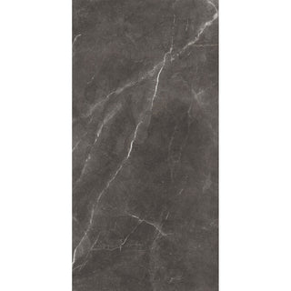 BAYONA GREY PULIDO 120*240 CM (CAJA 2.88 M2) MAXIMUS CASTEL