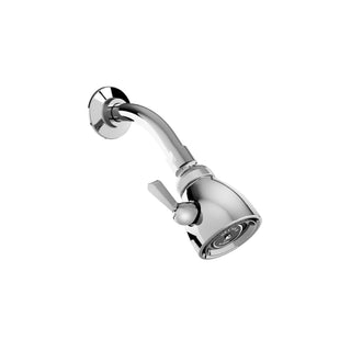 H1000-TR011 REGADERA CON BRAZO Y CHAPETÓN DE CHORRO REGULABLE CON PALANCA DE CONTROL, CROMO HELVEX