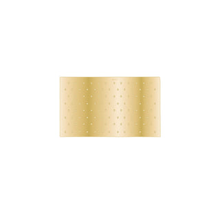 WS50.300 REGADERA DE LLUVIA RECTANGULAR 500 x 300 MM WASSER